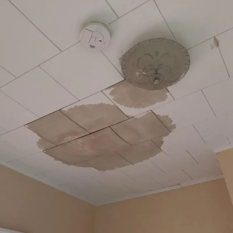 Ceiling Water Damage Repair in Boulevard Gardens, FL