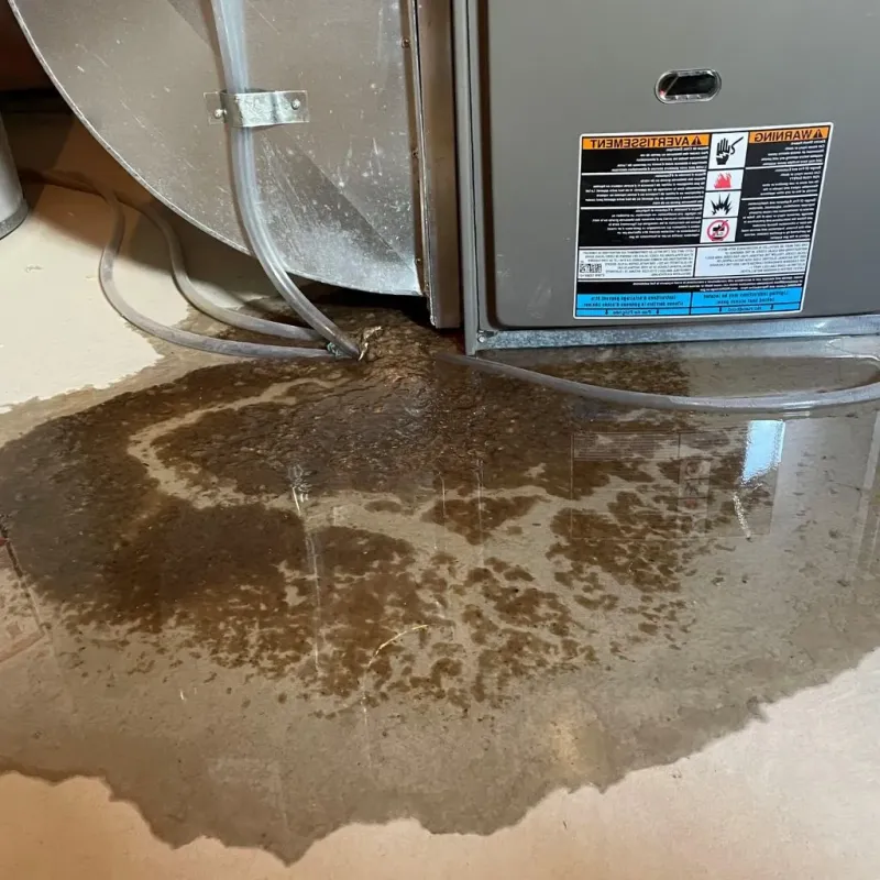 Pipe Burst and Leak Restoration in Boulevard Gardens, FL