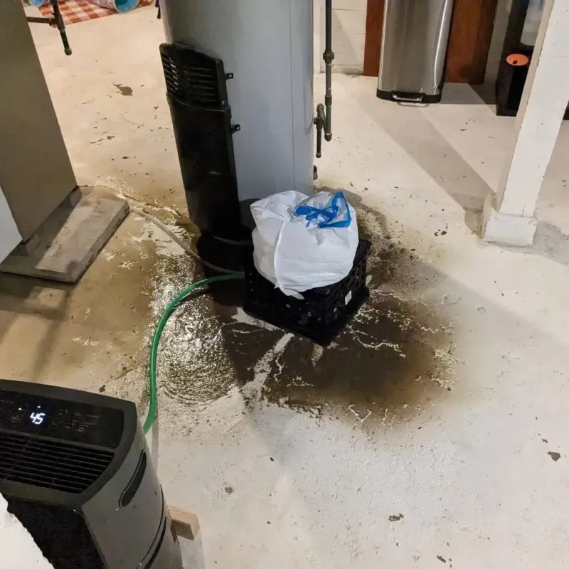 Sewage Backup Cleanup Service in Boulevard Gardens, FL